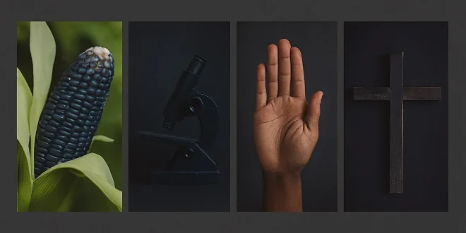 Datas comemorativas de 8 de outubro celebram cultura nordestina, saúde, voluntariado e fé