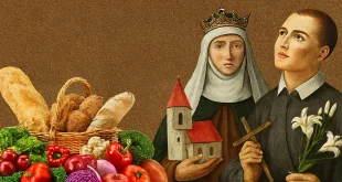 16 de outubro: Dia Mundial da Alimentação, homenagens religiosas e profissionais marcam a data