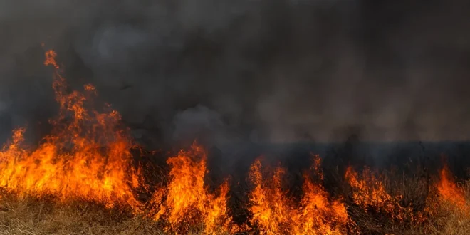 Montes Claros — 7º Batalhão combate focos de incêndio em áreas distintas, incluindo Parque Estadual da Lapa Grande