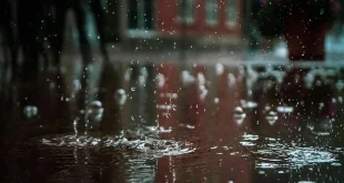 Desentupimento de ralos externos como evitar alagamentos em dias de chuva