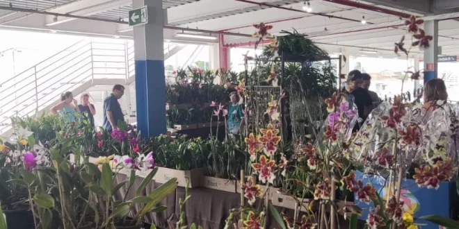 Montes Claros recebe 24ª Exposição Anual de Orquídeas em abril