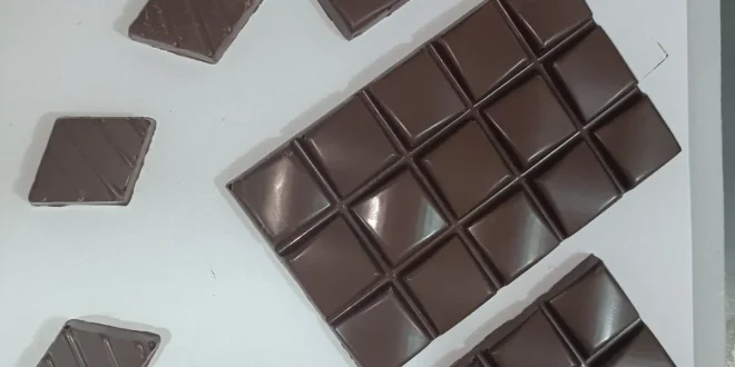 Realizados primeiros testes com chocolate feito de cacau produzido no Norte de Minas