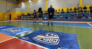 Estratégias de visibilidade e experiência: Oportunidades no mercado esportivo