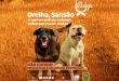 Minas Gerais – Polícia Civil reforça combate aos maus-tratos contra animais em abril