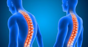 Coluna Vertebral