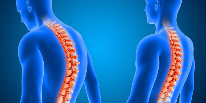 Coluna Vertebral