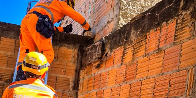 Bombeiros resgatam filhote de gato em risco no bairro Vila São Miguel, em Januária