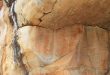Exposição sobre arqueologia ambiental é destaque no Museu Regional em Montes Claros