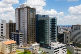 Casa para alugar em BH com pets: o que avaliar antes de fechar o contrato?